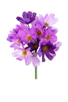 Cosmos bundel h30cm lila mix