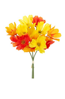 Cosmos bundel h30cm oranje/geel