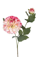 Dahliasteel l66cm roze