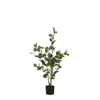 Eucalyptus in pot d55h120cm groen