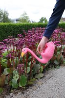 Flamingo gieter - afbeelding 2