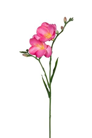 Freesiasteel l68cm roze