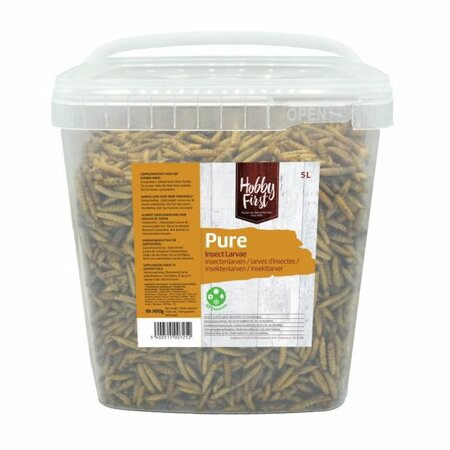 Insect larvae 650g