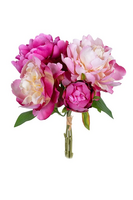 Pioen bundel h34cm cerise/roze