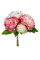 Pioen bundel h34cm zalm/creme