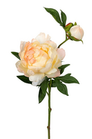 Pioen l56cm geel