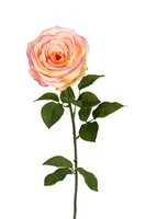 Roossteel l65cm zalm/roze