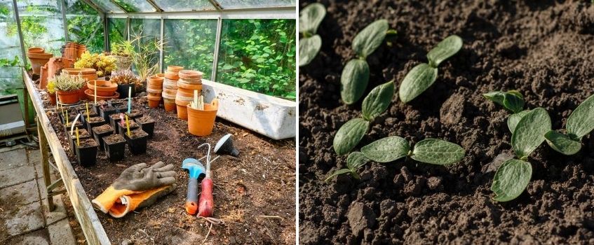 Kruiden en groenten zaaien - Vechtweelde Kruiden en groenten zaaien - Vechtweelde