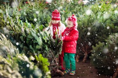 Kerstbomenverkoop