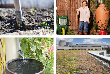 Workshop: Hoe richt ik mijn tuin watervriendelijk in?