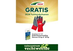 DCM actie
