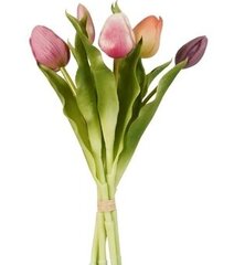 Tulpen bundel