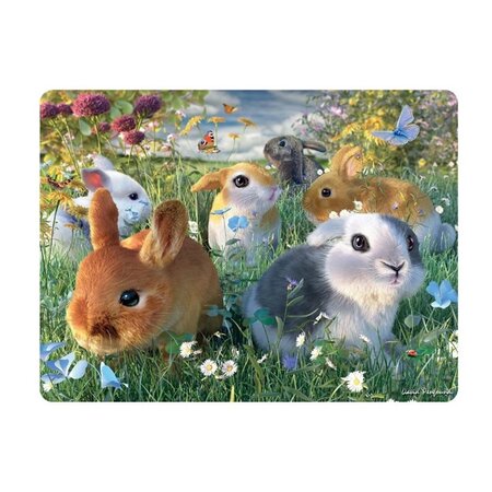 3d ansichtkaart  bunnies