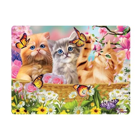 3d ansichtkaart  kitten fun time