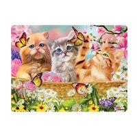 3d ansichtkaart  kitten fun time