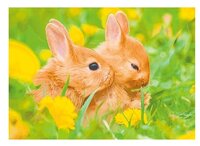 3d ansichtkaart konijnen