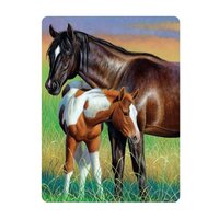 3d ansichtkaart  mare & foal