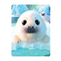 3d ansichtkaart  seal pups