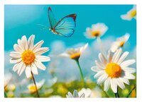 3d ansichtkaart vlinder bloem