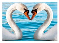 3d ansichtkaart zwanen hart