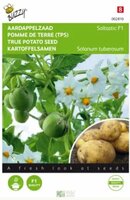 Aardappel uit zaad solhy012 10zdn