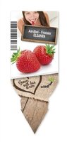 Aardbei 'Elsanta' - afbeelding 2