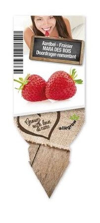 Aardbei 'Mara de Bois'