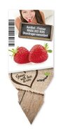 Aardbei 'Mara de Bois'