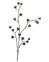 Abutilonsteel l85cm bruin