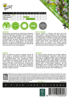 Acanthus mollis 2g - afbeelding 2