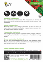 Adonis aestivalis roodbloeiend 2gram - afbeelding 2