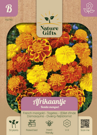 Afrikaantje bonita mengsel 50st