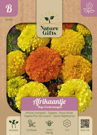 Afrikaantje hoge erecta mengsel 40st