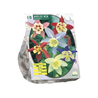 Akelei mix 10st - afbeelding 2