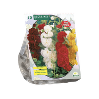 Alcea mix 10st