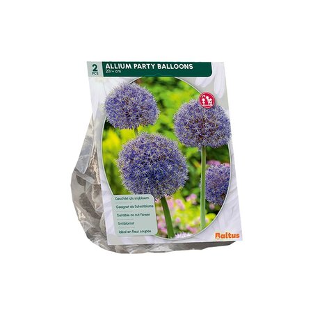 Allium party balloon 2st