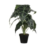 Alocasia in pot d30h50cm groen (Zijde-plant)