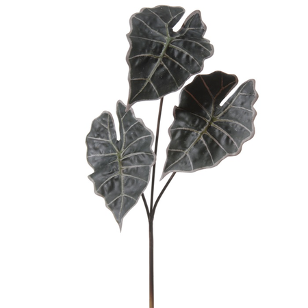 Alocasiatak l61cm groen (Zijde-tak)