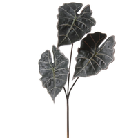 Alocasiatak l61cm groen (Zijde-tak)