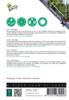 Aloe gemengde soorten - afbeelding 2