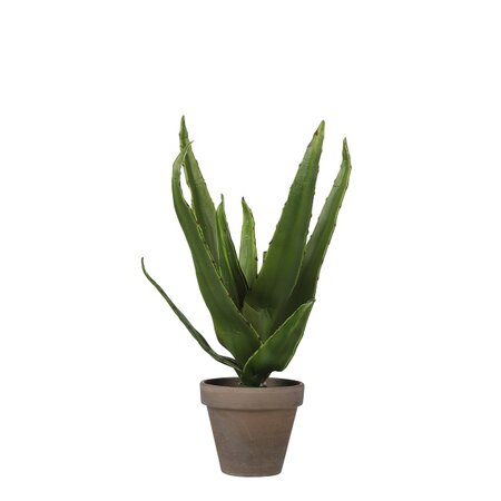 Aloe vera in pot d16h30cm groen (Zijde-plant)