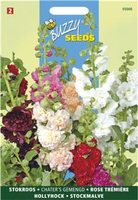 Althaea rosea fl.pl. chater mx 0.5gram - afbeelding 4