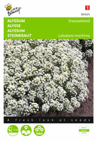 Alyssum sneeuwkleed wit 0.5gram