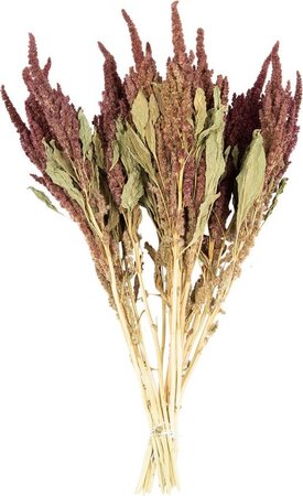 Amaranthus rood in hoes 250g