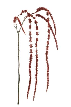 Amaranthussteel l130cm burgundy