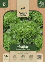 Andijvie escariol groen 300st