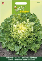 Andijvie nuance 1g - afbeelding 3