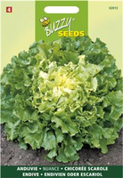 Andijvie nuance 1g - afbeelding 4