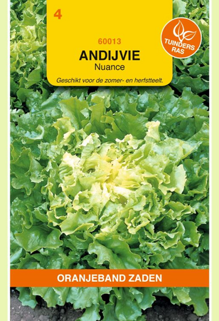 Andijvie nuance 1g - afbeelding 1