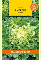 Andijvie nuance 1g
